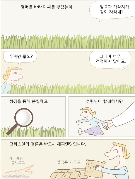 신앙카툰-알곡과 가라지.jpg