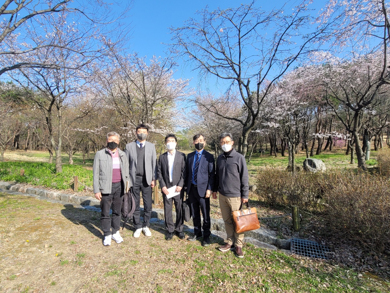 봄꽃.jpg