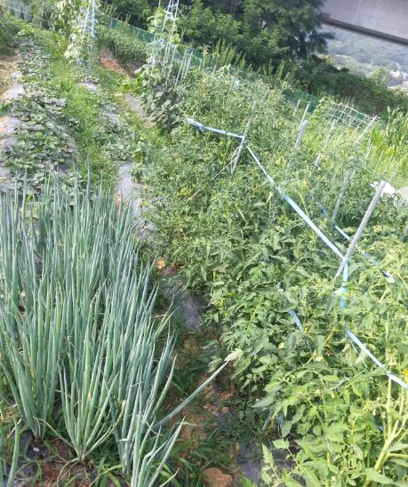 마.jpg