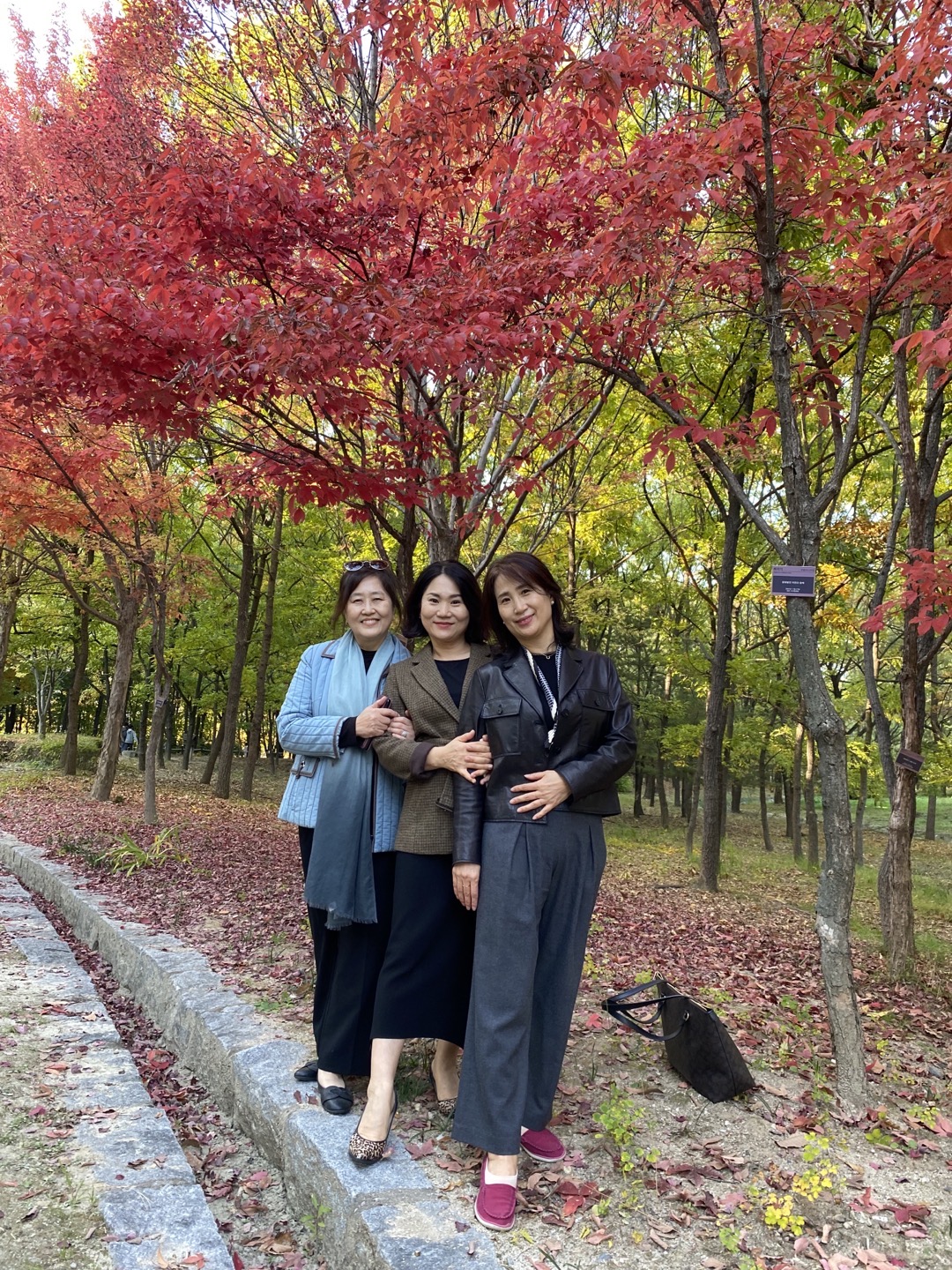 KakaoTalk_20221023_165543431.jpg
