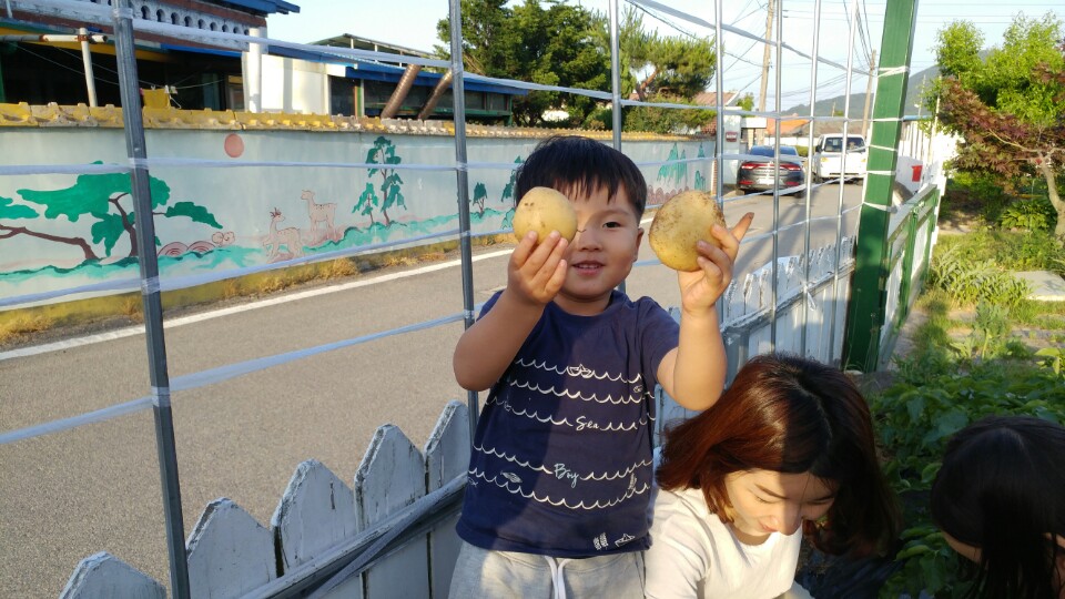 감자캐기3.jpeg