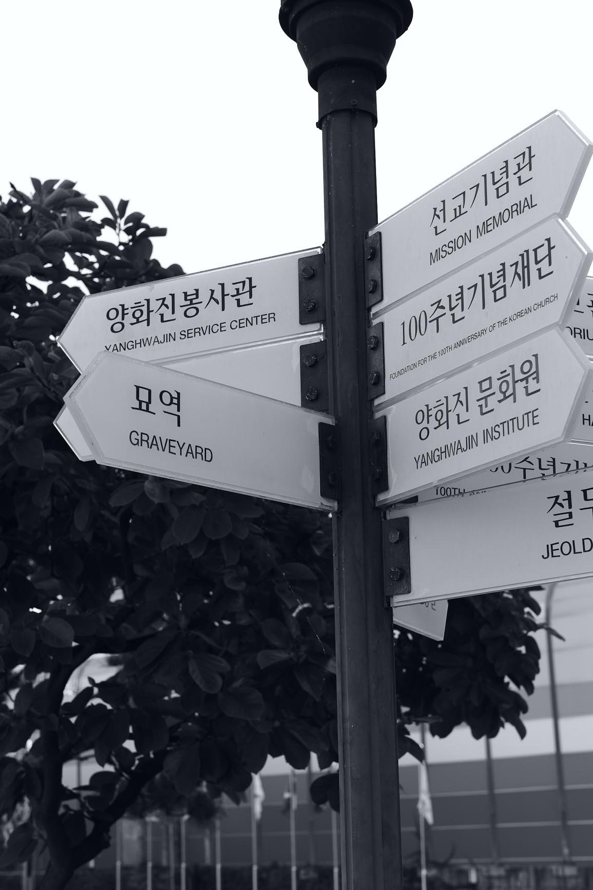양화58.jpg