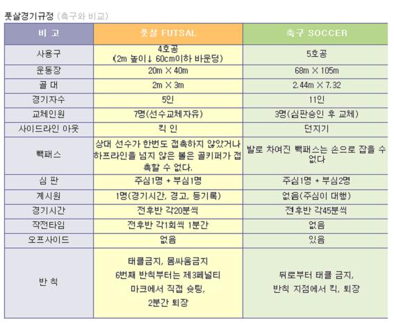 더풋살 이미지