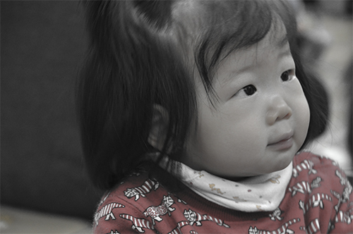 고급 개체로 DSC_0040-1.jpg