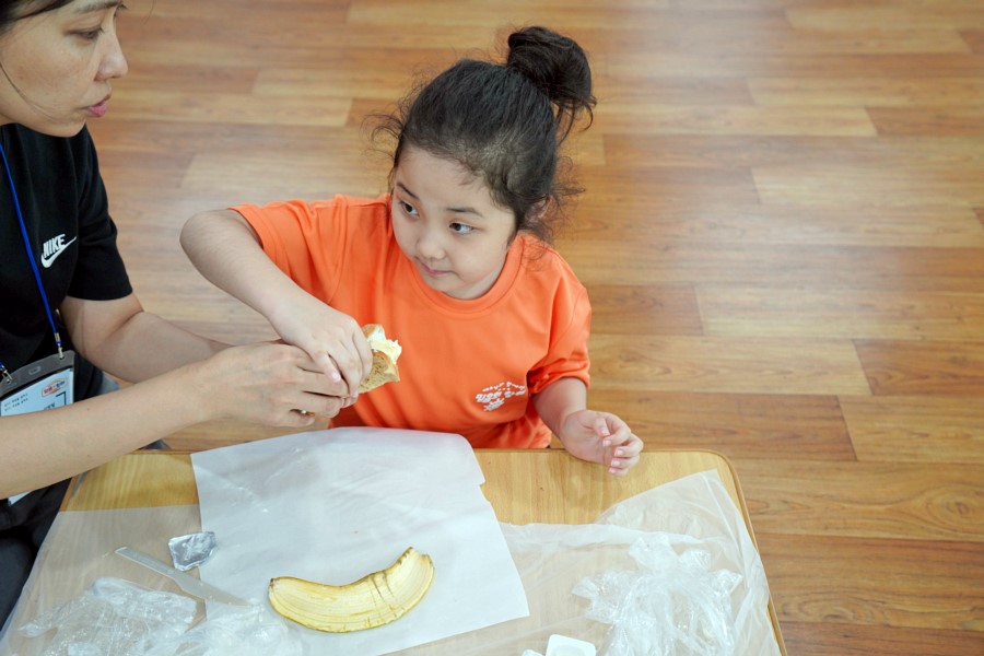 DSC0600207192부.JPG