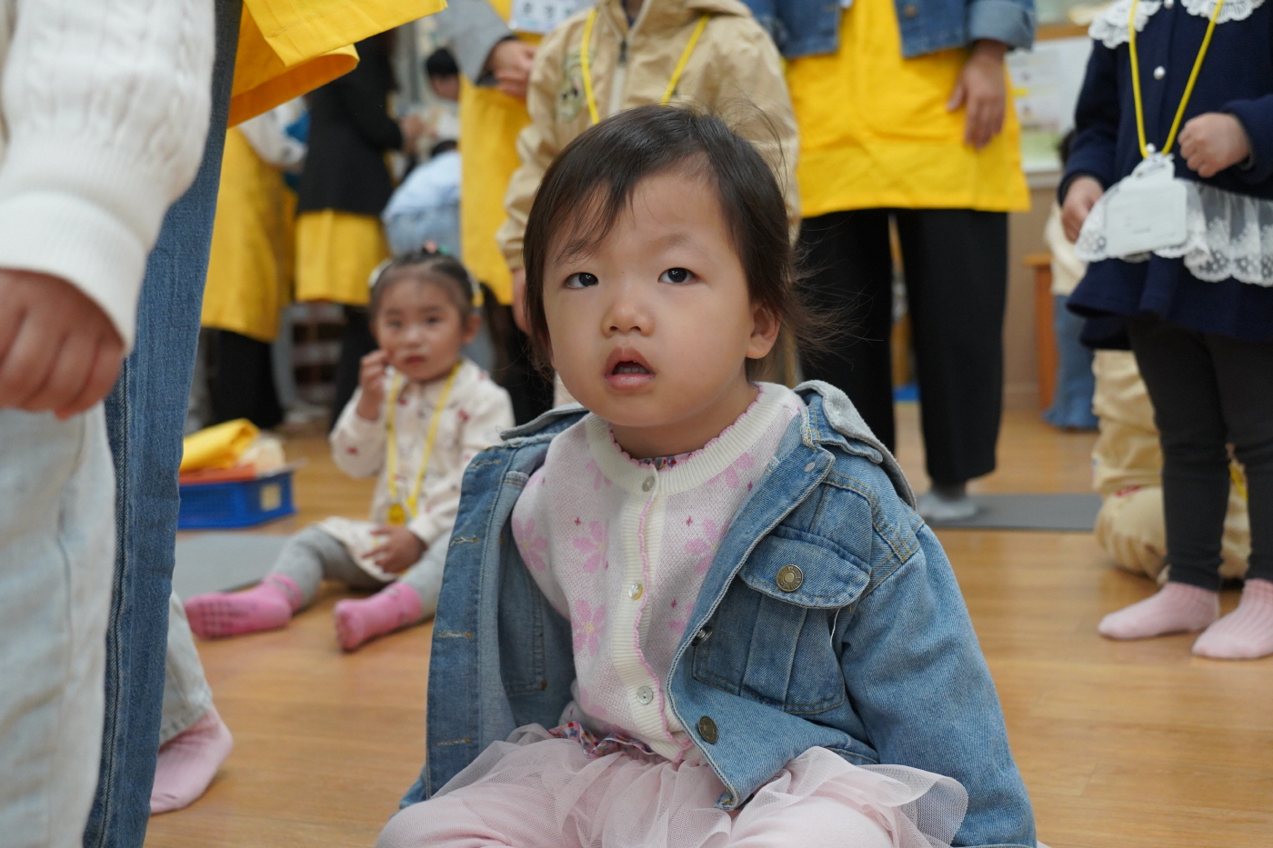 [크기변환]DSC00773.JPG