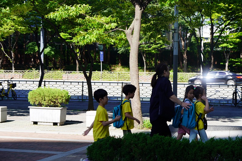 DSC04413.jpg