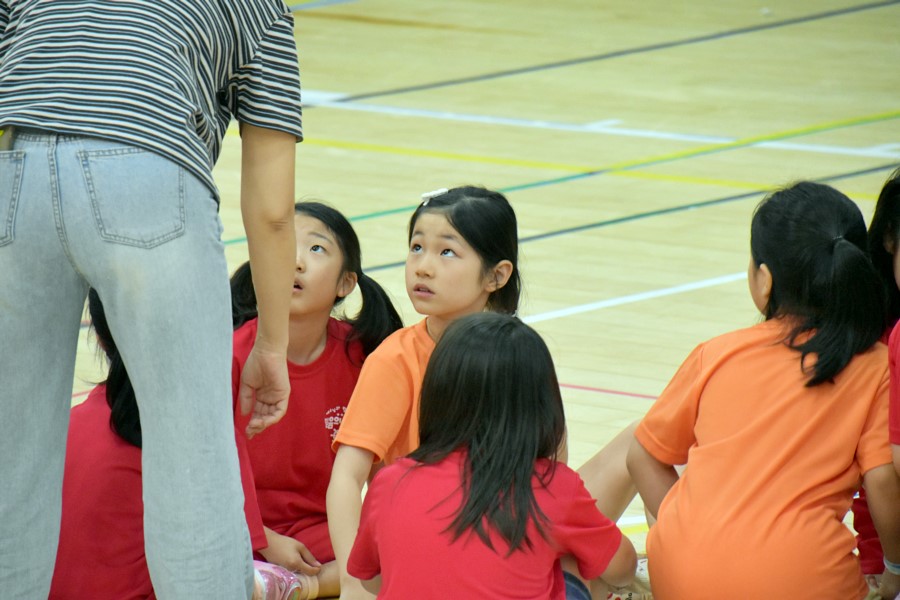 DSC_018607192부.JPG