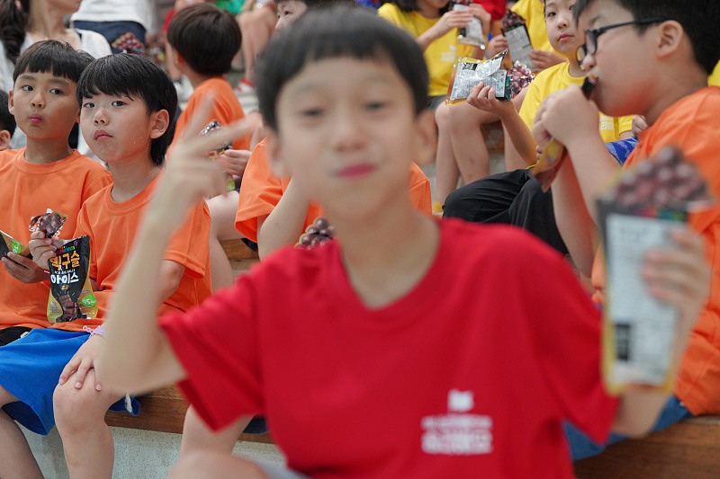 DSC04740.jpg