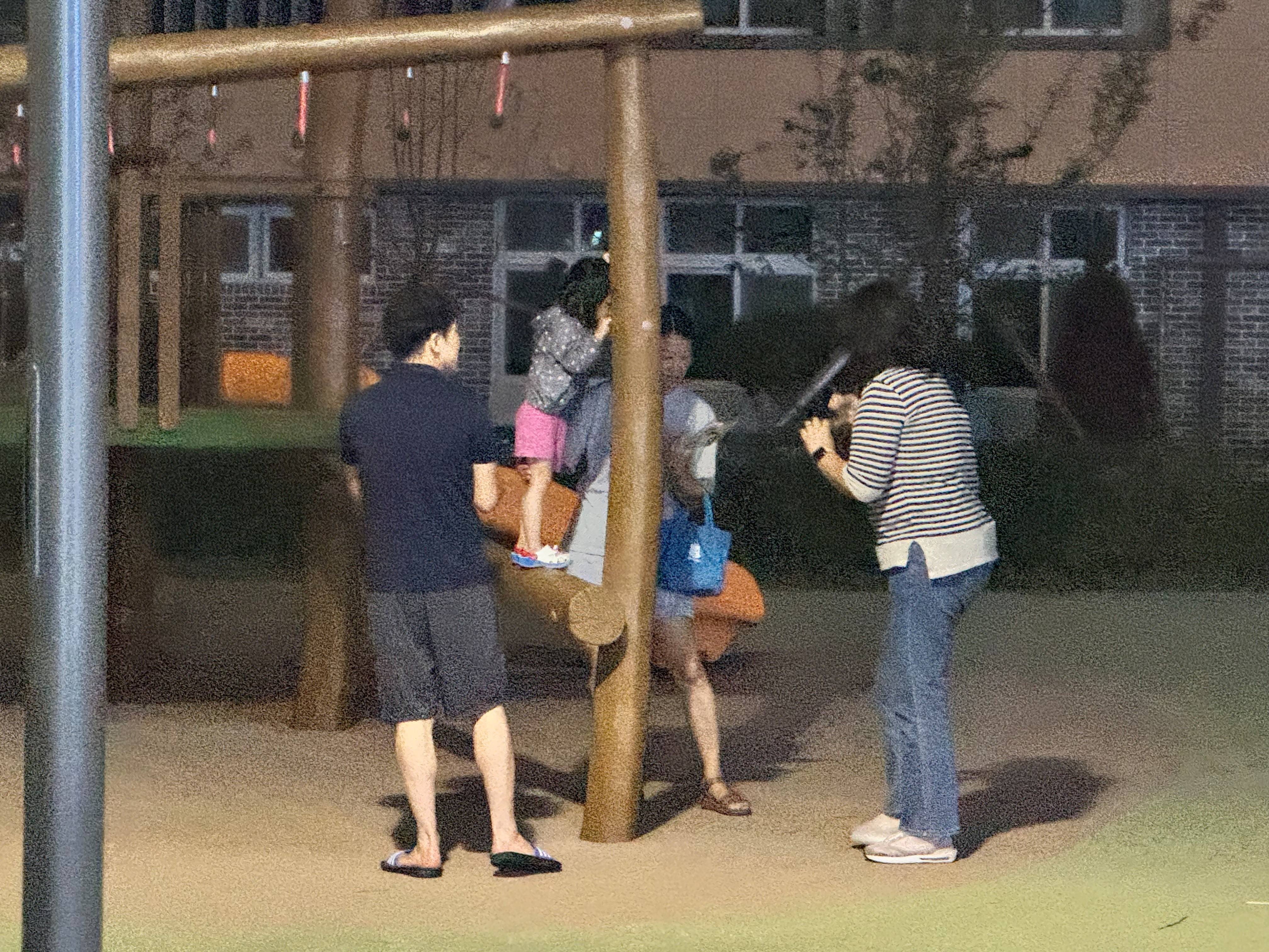 5번.jpg