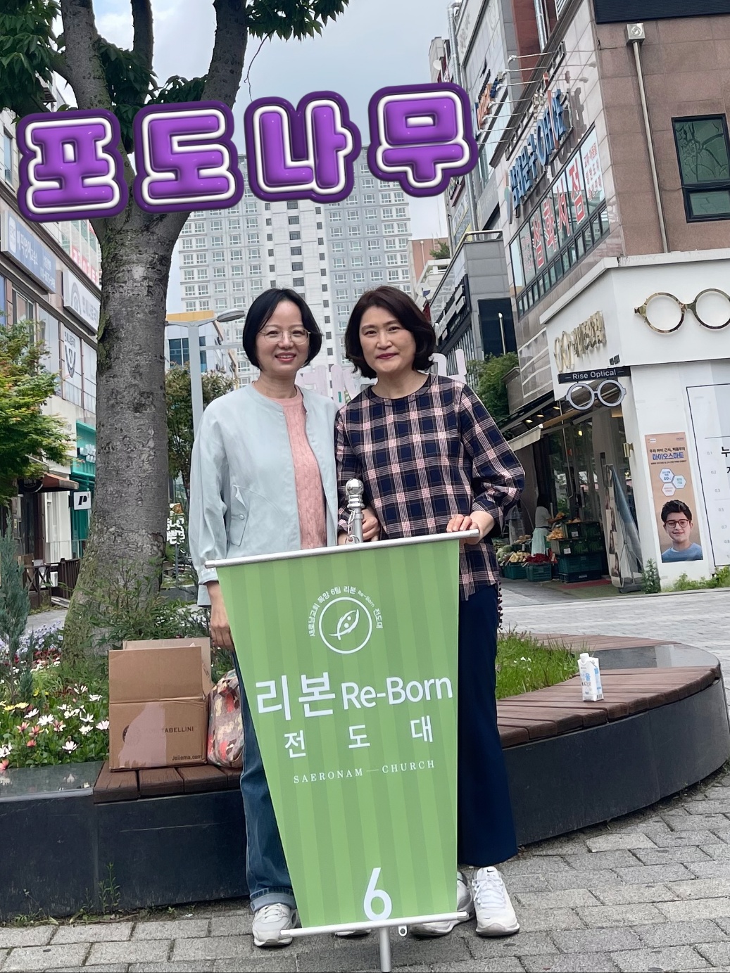 포도나무.jpg