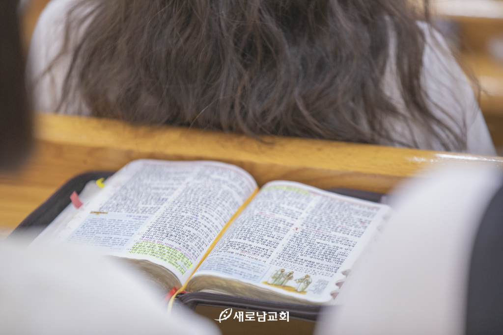 _R3A9555.jpg