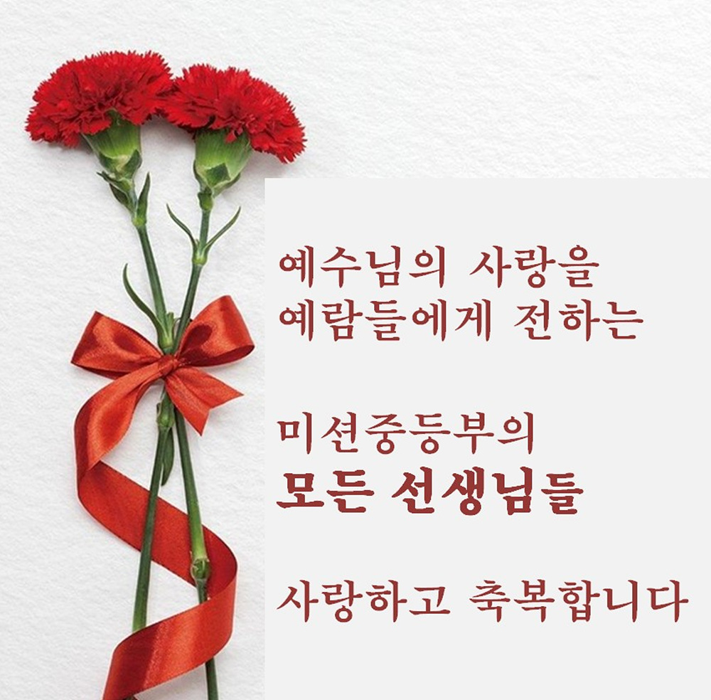 카네이션.jpg