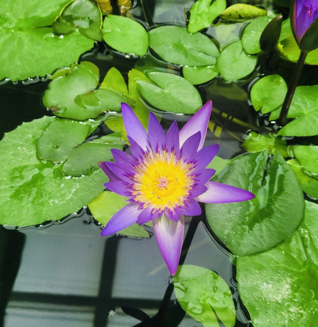 KakaoTalk_20250518_162013075_07.jpg