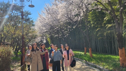 [크기변환]무지개 정면.jpg