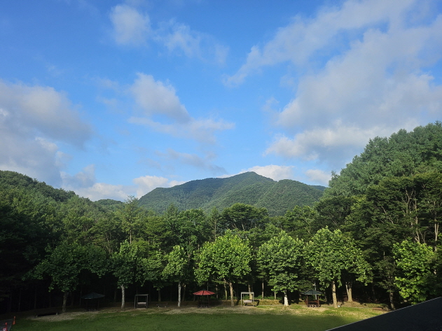 [크기변환]KakaoTalk_20250705_102740419_08.jpg