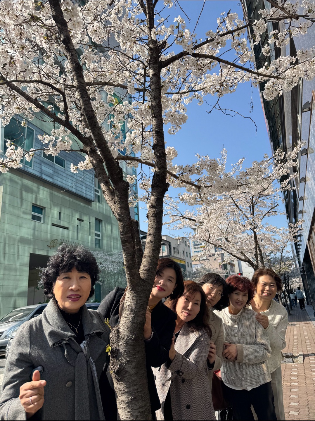 IMG_7675.jpeg