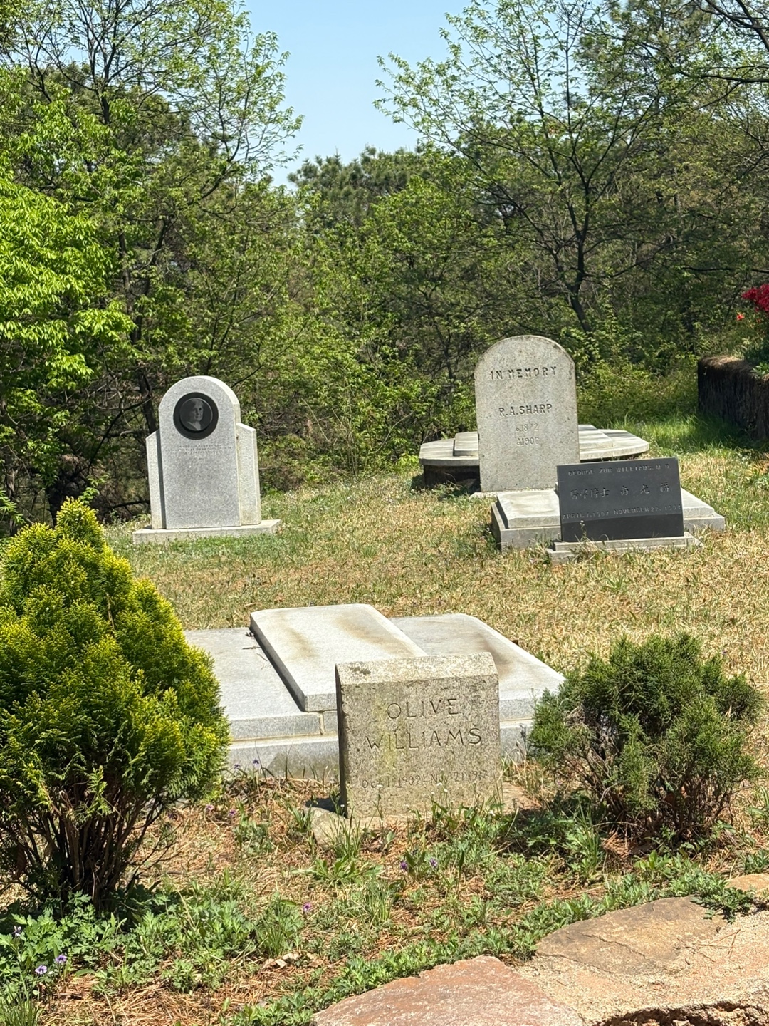 KakaoTalk_20250428_143416054_14.jpg