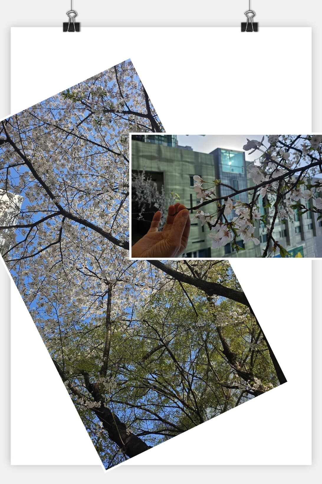 KakaoTalk_20250409_132842742_04.jpg