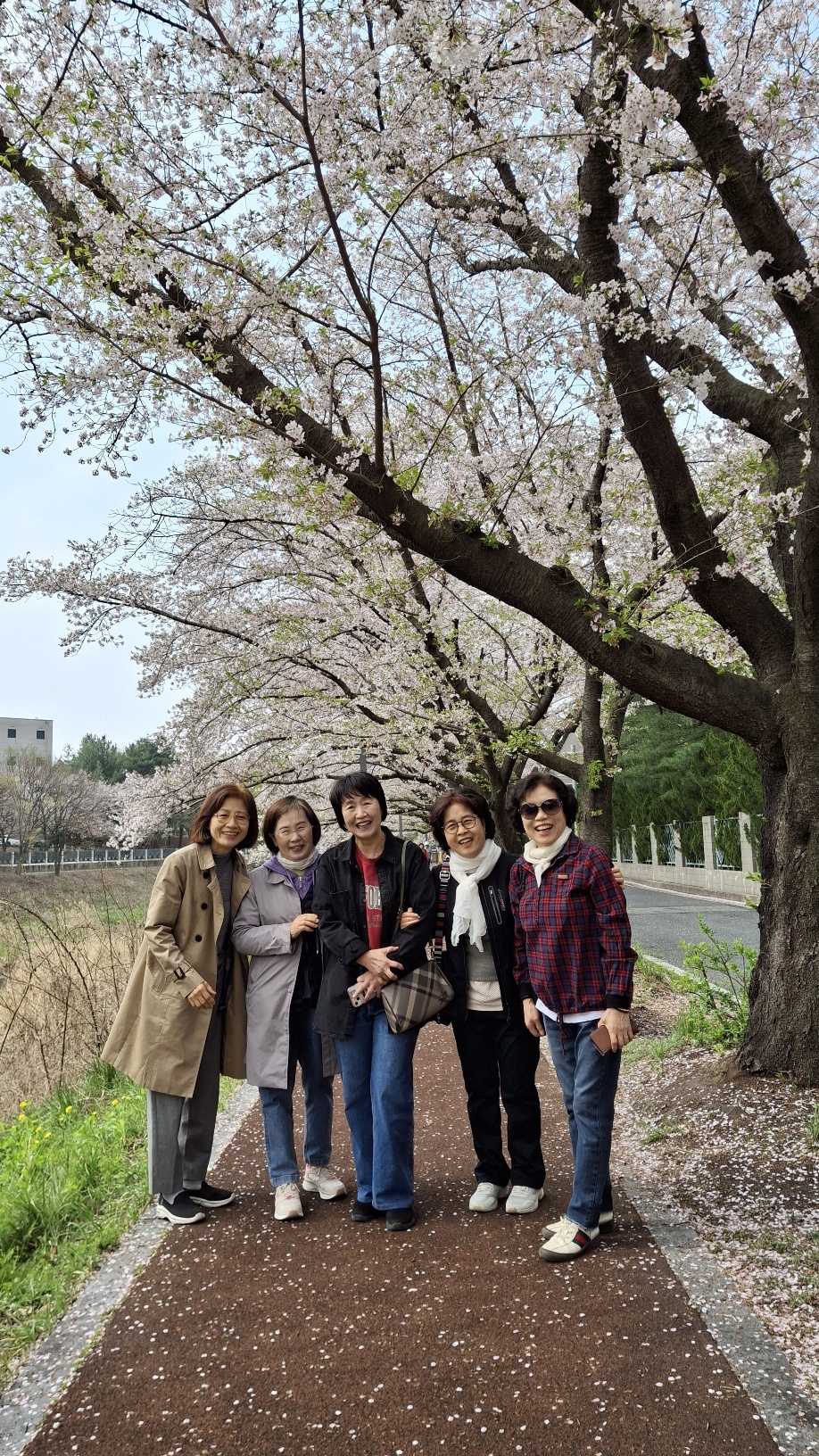 KakaoTalk_20250410_105032746_23.jpg