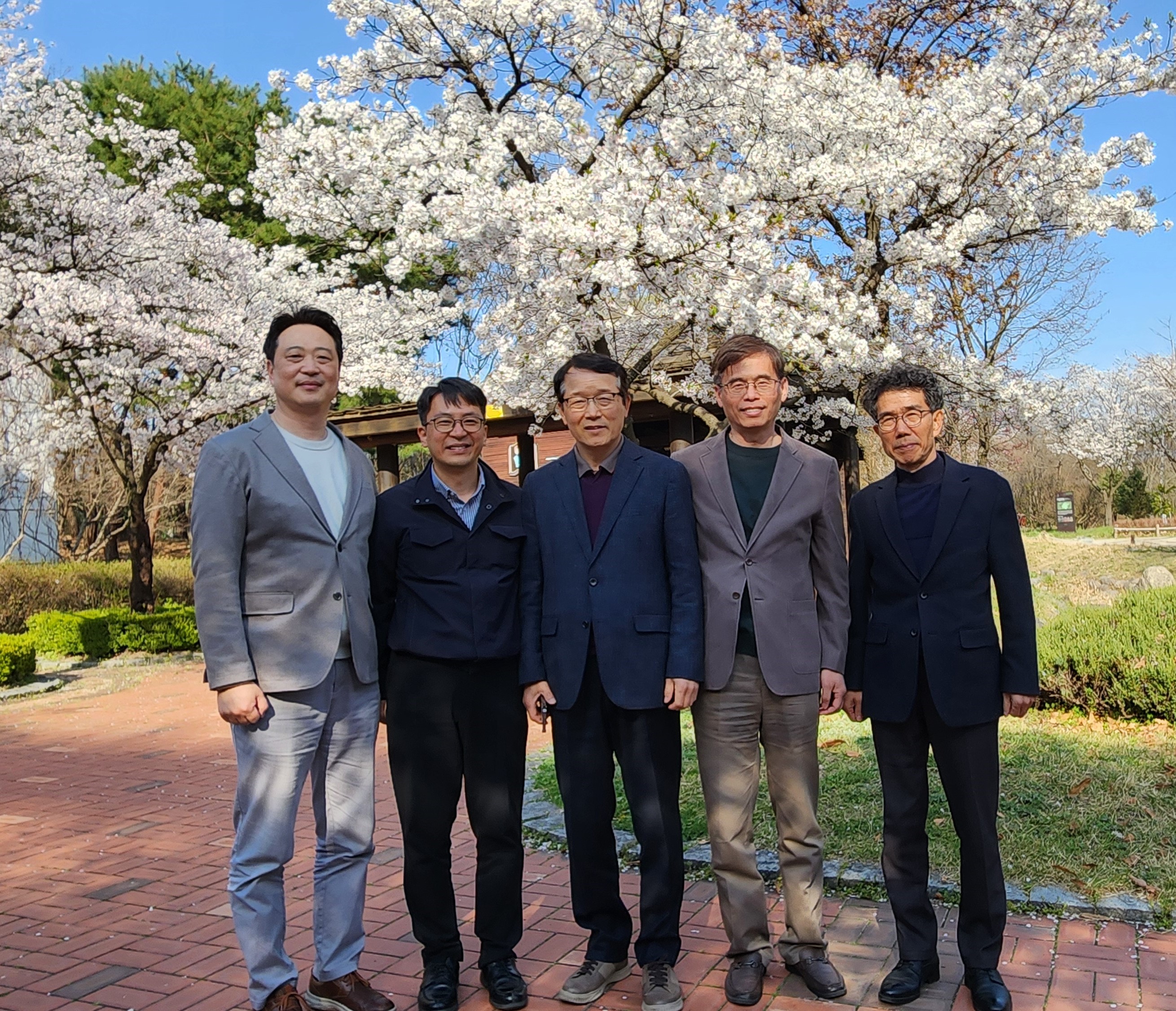 벗꽃1.jpg