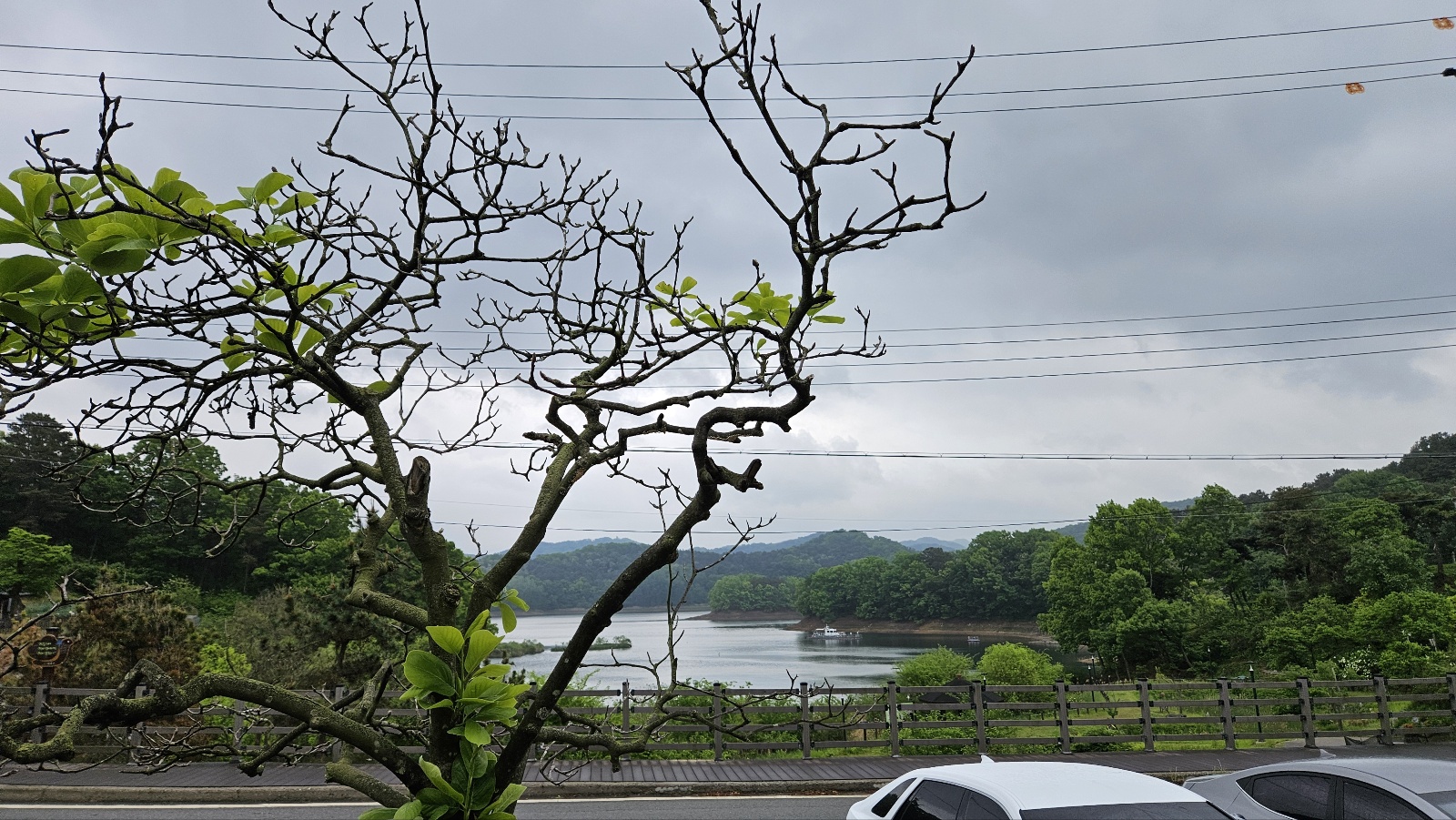 KakaoTalk_20250510_155710557.jpg