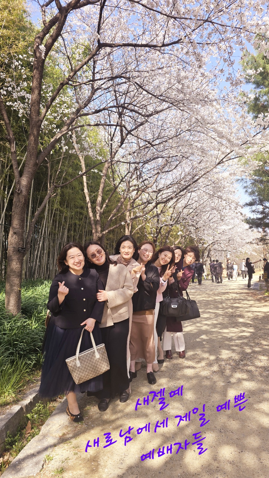 새젤예.jpg