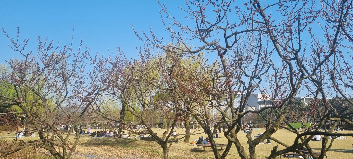 KakaoTalk_Image_2025-04-06-17-53-39_006.jpeg
