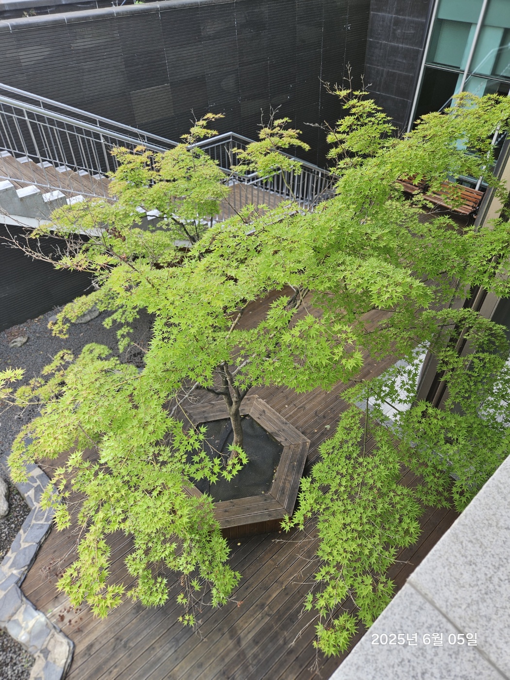 KakaoTalk_20250605_174117916_04 (1).jpg