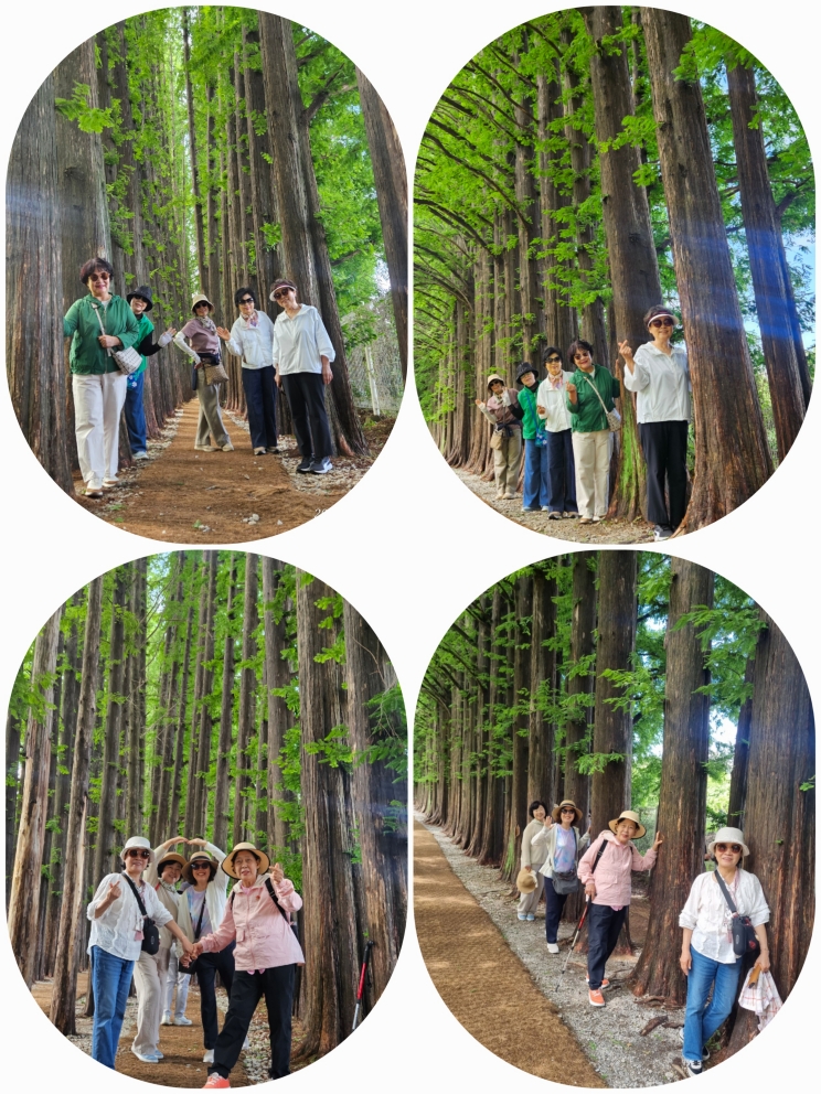 [크기변환]KakaoTalk_20260523_225337452_01.jpg