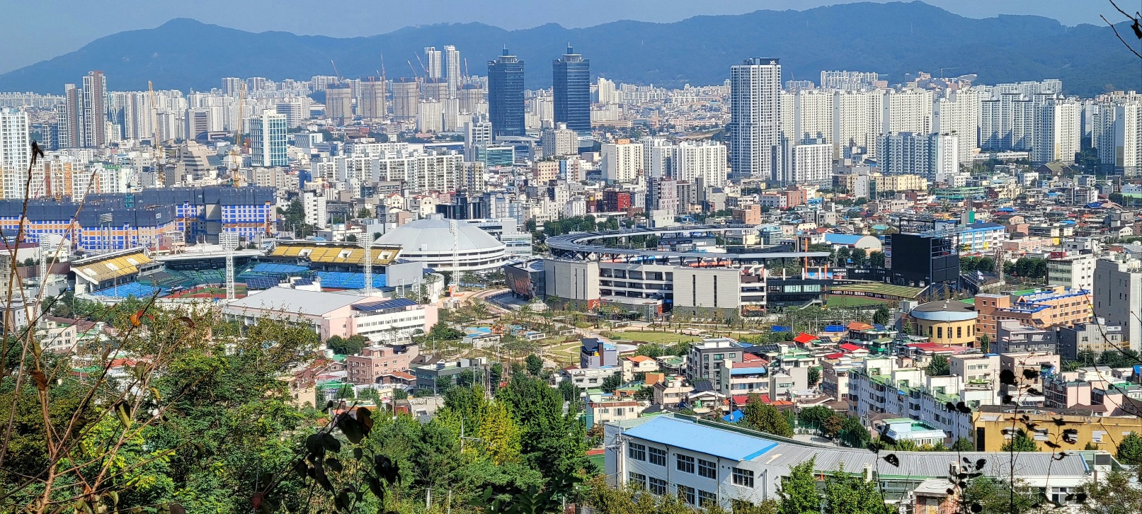 KakaoTalk_20251020_205629443.jpg