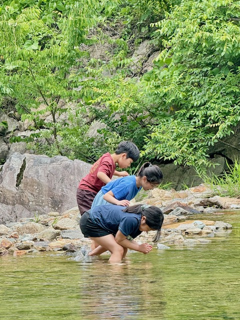 IMG_5185.JPG