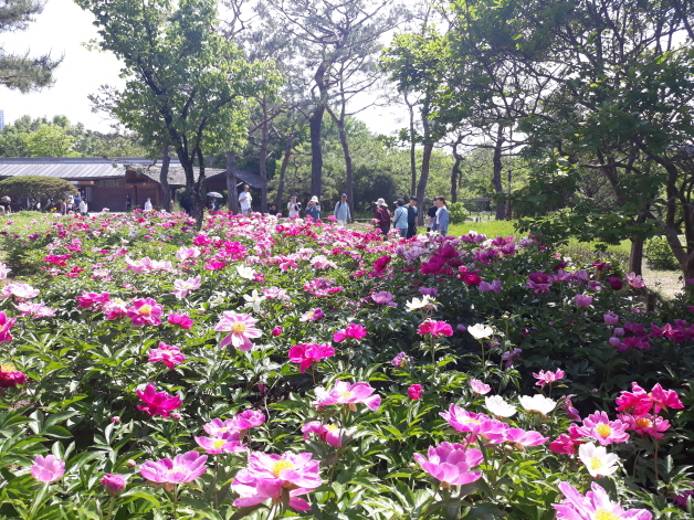 [크기변환]KakaoTalk_20250518_155512057_03.jpg